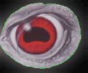 GIF_20250105_200932_095.gif