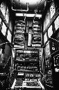 GIF_20250121_105754_550.gif