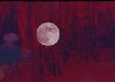 Filename=GIF_20250213_170052_398.gif
Filesize=5342KiB
Dimensions=302x216
Date added=May 28, 2025 GIF_20250213_170052_398.gif