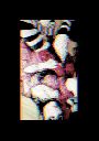 Filename=GIF_20250426_143833_305.gif
Filesize=233KiB
Dimensions=196x276
Date added=May 28, 2025 GIF_20250426_143833_305.gif