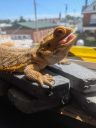 Messenger_creation_3F2D5B21-4002-4EFE-B732-55B0F65102C0.jpeg