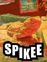 att_uj1ahHxL0-jDSli2NTl25Jtelg43XwV2SpVlGEhXpv0.gif