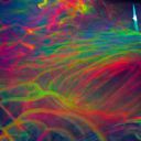 Filename=ZZZ1GGg.jpg
Filesize=51KiB
Dimensions=512x512
Date added=Dec 23, 2022 ZZZ1GGg.jpg